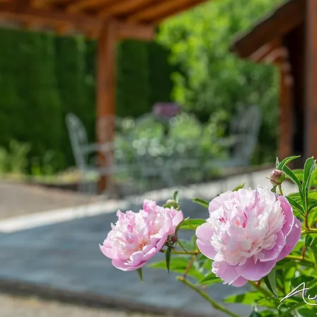 Chalet La Calougeotte, Jardin, Et Sauna Prives